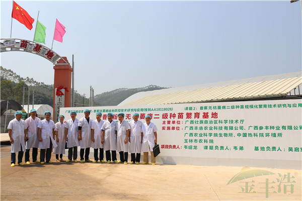 自治區科技廳農業農村科技處處長陳盛文等一行人到無枯萎病香蕉種苗繁育基地指導工作
